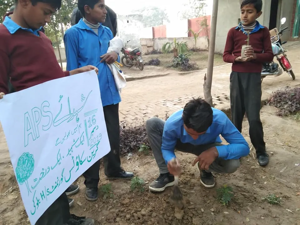 Green Seekers Activity